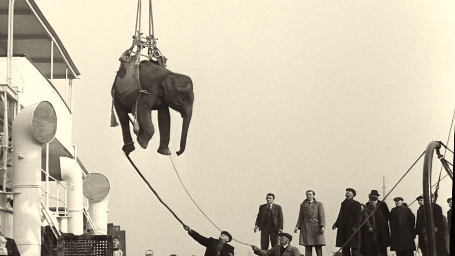 Johan Grimonprez, 2024_Soundtrack to a Coup d'Etat_Johan Grimonprez_Elephant Cargo © British Pathé