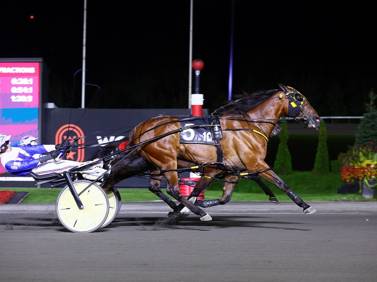 Maximus Miki Musters Muscle for Canadian Pacing Derby Upset