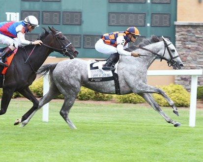 Justify My Love (BRZ) winning the Indiana General Assembly Distaff Handicap on July 8, 2023 at Horseshoe Indianapolis (Coady Photography / Bloodhorse)