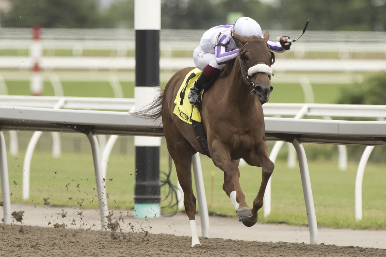Dreaming of Drew dominates the Belle Mahone Stakes at Woodbine, winning under jockey Kazushi Kimura.  (Michael Burns Photo)