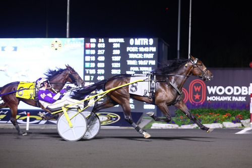 Never say never: T C I makes miraculous recovery, wins Mohawk Million 