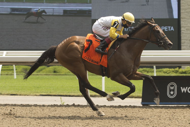 Shirl's Speight and jockey Emma-Jayne Wilson winning the Marine Stakes on July 25, 2020 at Woodbine (Micheal Burns Photo)