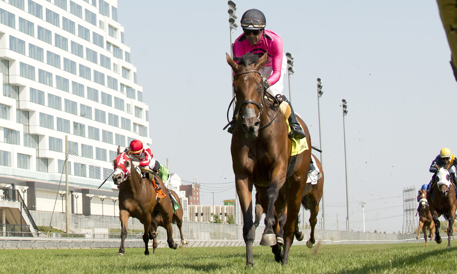 Souper Supreme and jockey Patrick Husbands winning the Victorian Queen on September 15, 2024 at Woodbine (Michael Burns Photo)