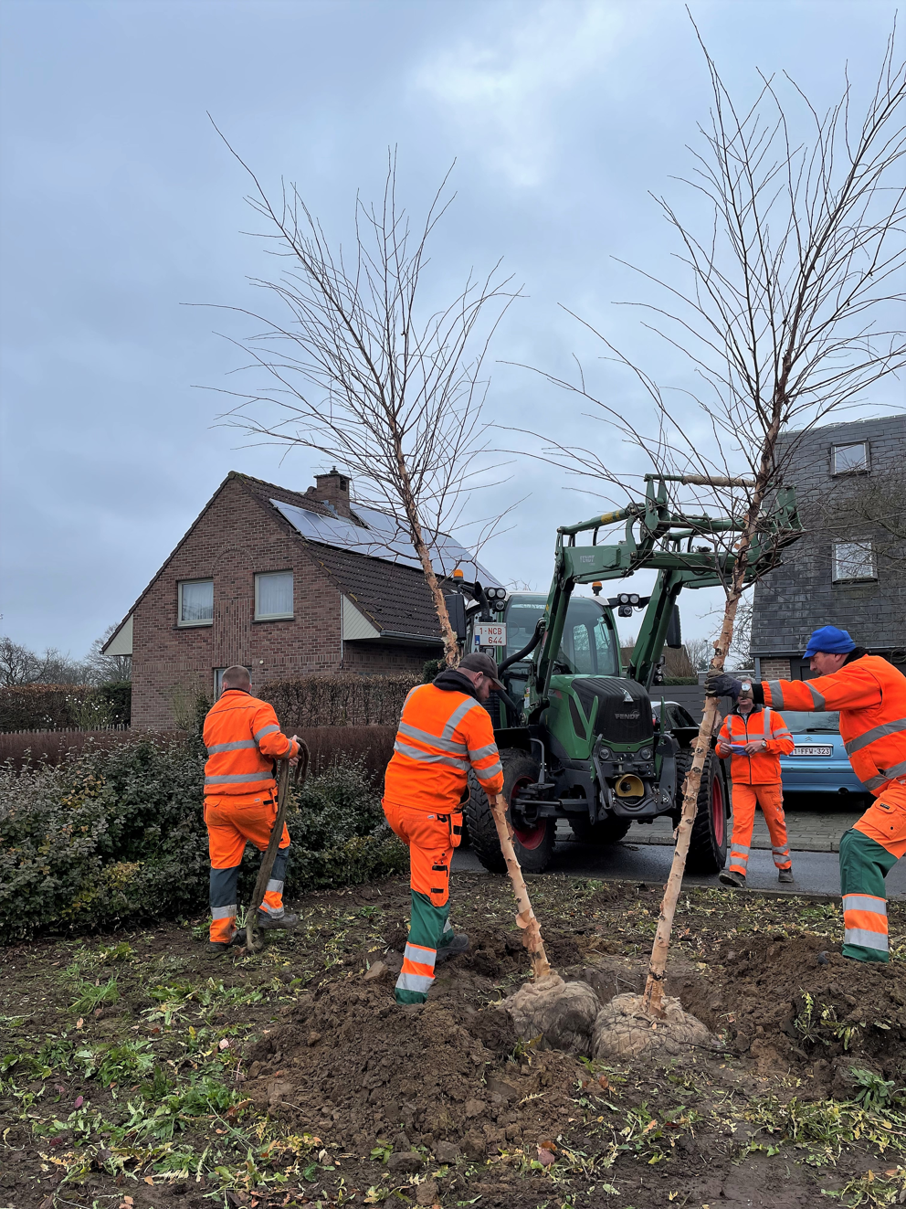 Stad Leuven engageert zich om deze legislatuur 10.000 bomen te planten