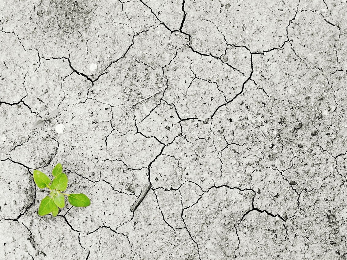 Benelux Parlement: Conferentie Klimaatadaptatie, Energietransitie en Innovatieve projecten
