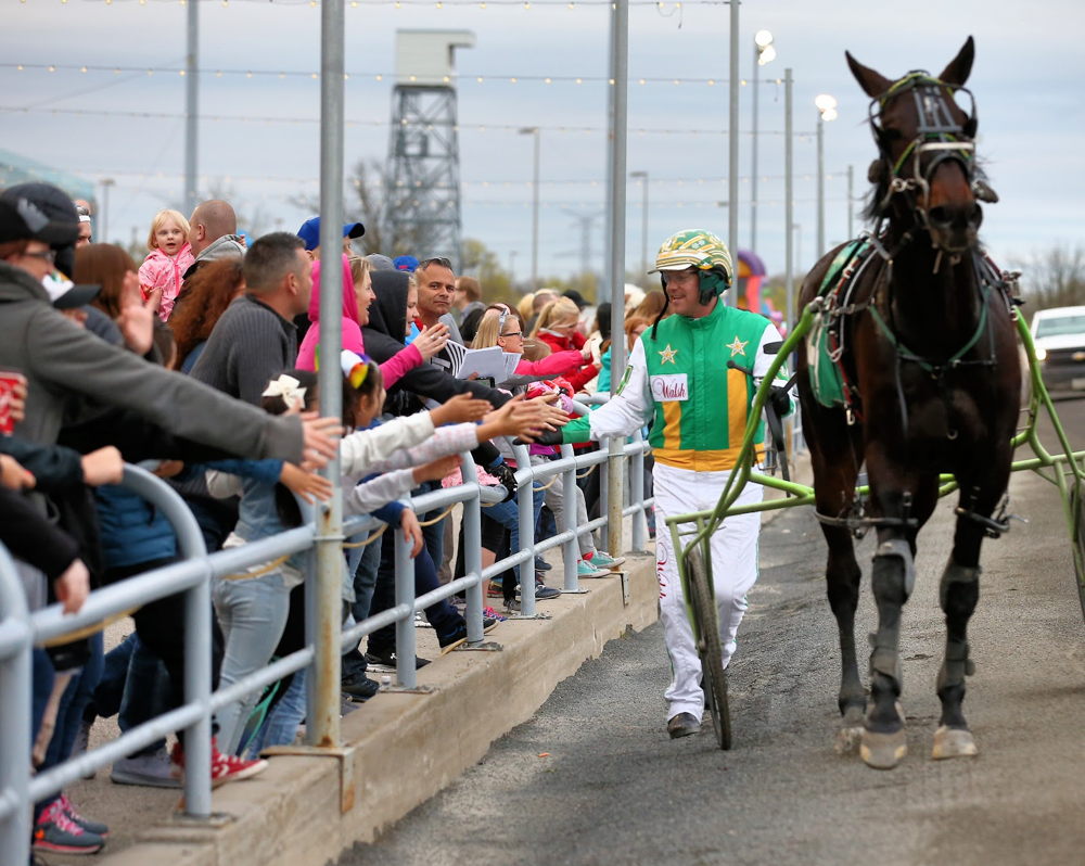 Fireworks and Family Fun Night includes exciting live harness racing action. (New Image Media)