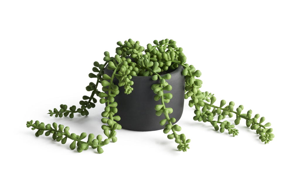 Habitat Naturalist Trailing faux in ceramic pot, £10