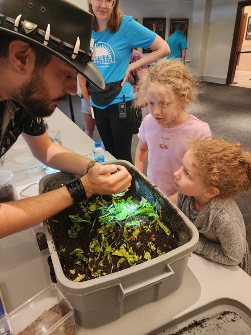 Learning about bugs & spiders