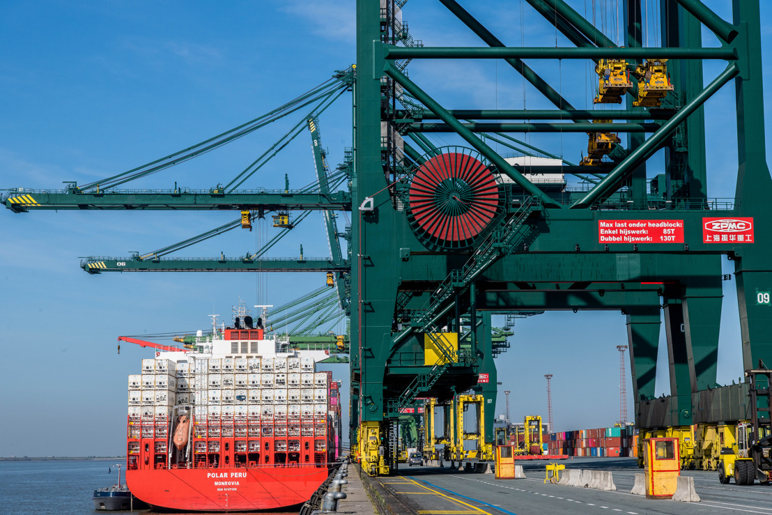 Le port d'Anvers poursuit sa croissance et consolide sa forte position dans le marché des reefers