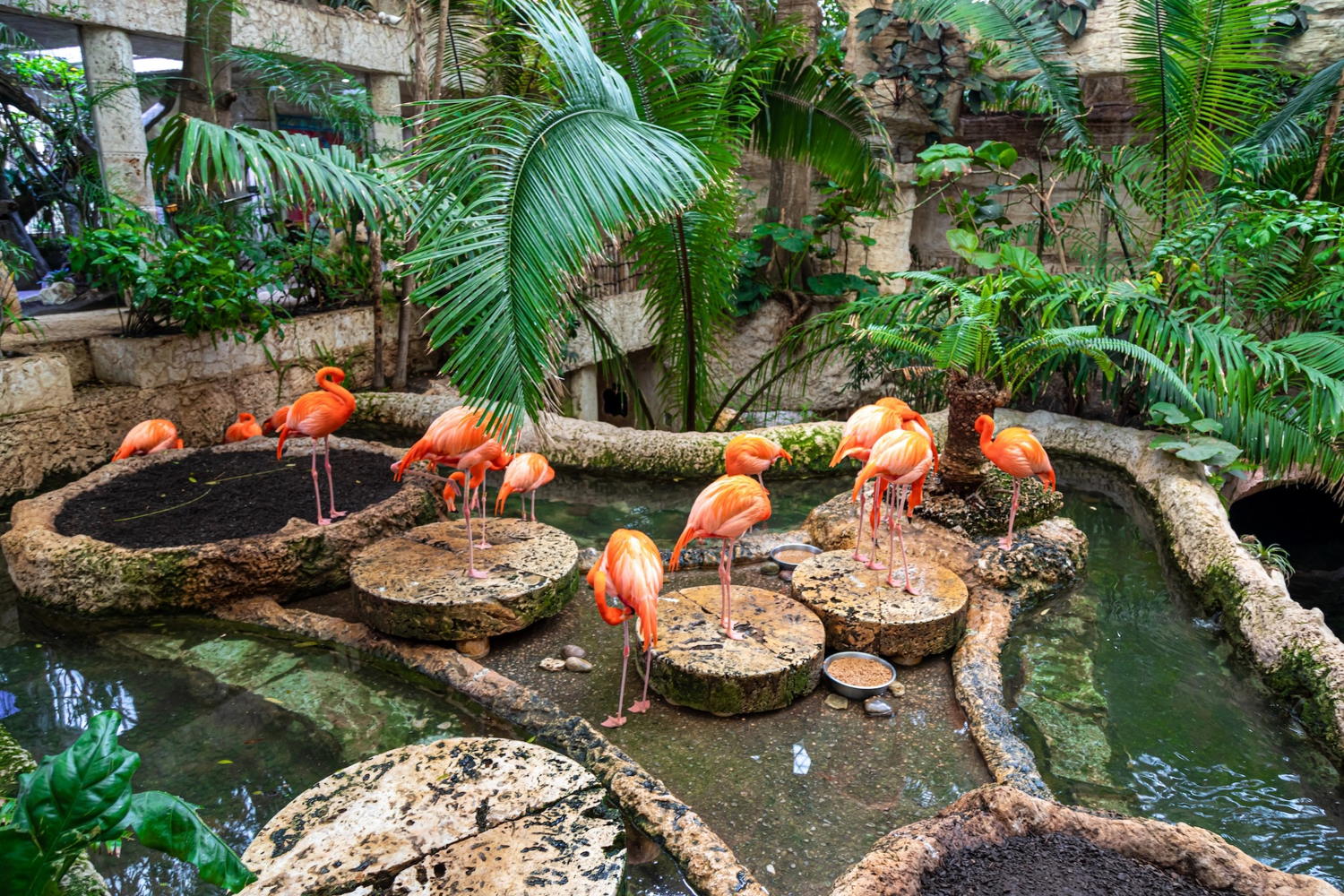 Dallas World Aquarium