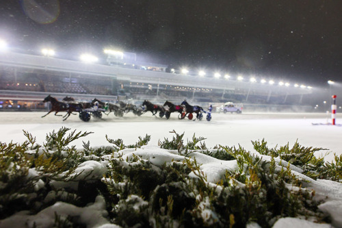 Saturday Training Cancelled at Woodbine Mohawk Park