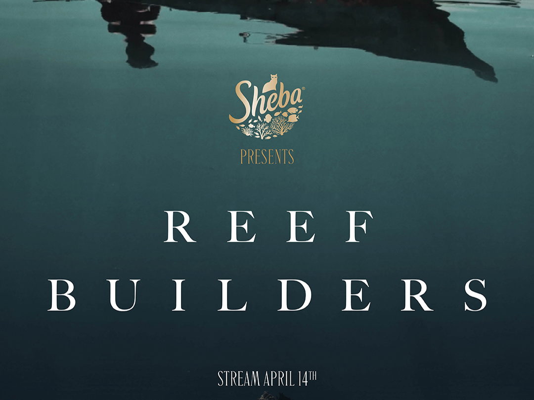 "Reef Builders”, een documentaire over een programma dat deel uitmaakt van één van 's werelds grootste* herstelprogramma's voor koraalriffen, verschijnt op 14 april op Prime Video