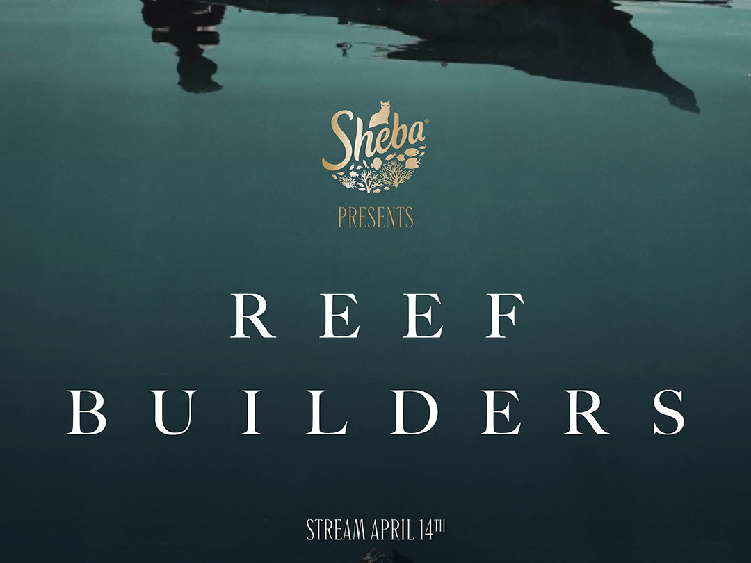 Le documentaire "Reef Builders", retraçant un programme qui fait partie de l'un des plus vastes* programmes de restauration des récifs, sort le 14 avril sur Prime Video