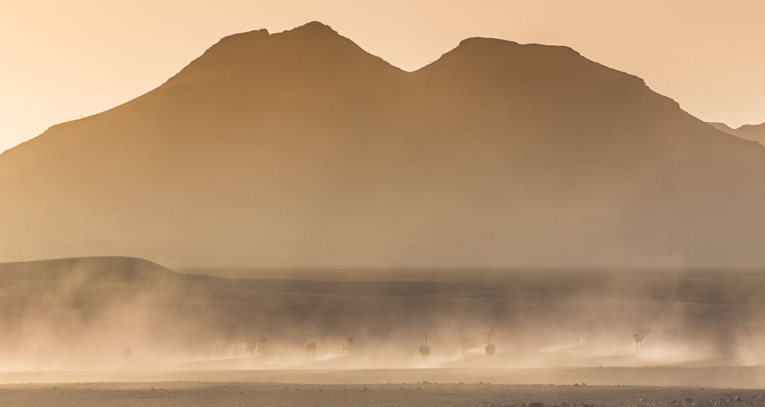 Namibia Inspiration