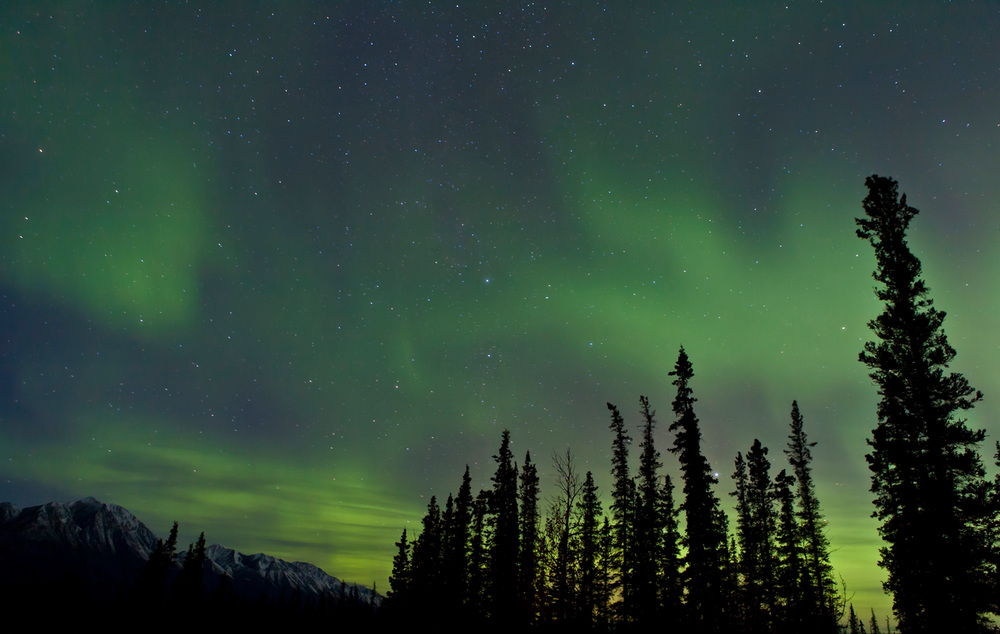 Aurora borealis over trees, Yukon, Canada. AKG4514736 © akg / Jonathan Tucker / Stocktrek Images