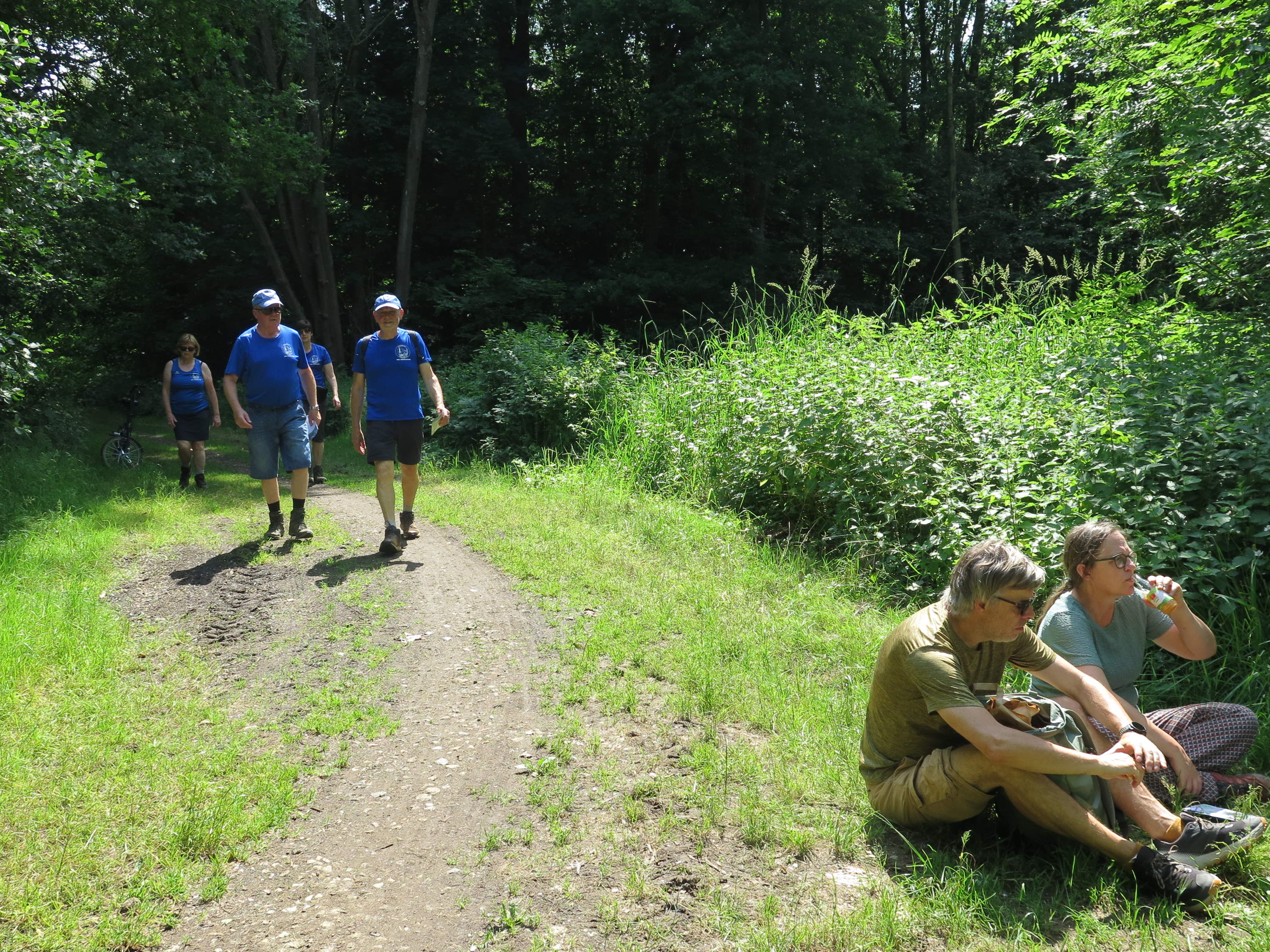 Landschapswandelingen tussen Demer en Dijle