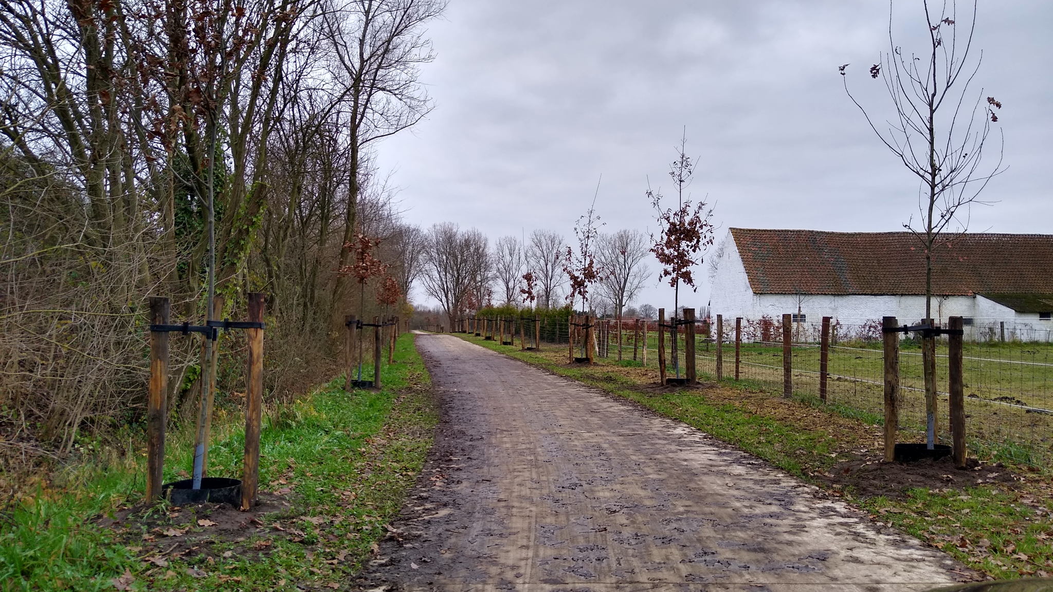 Fietsers hebben nu een veilig alternatief voor de Doornzeelsestraat