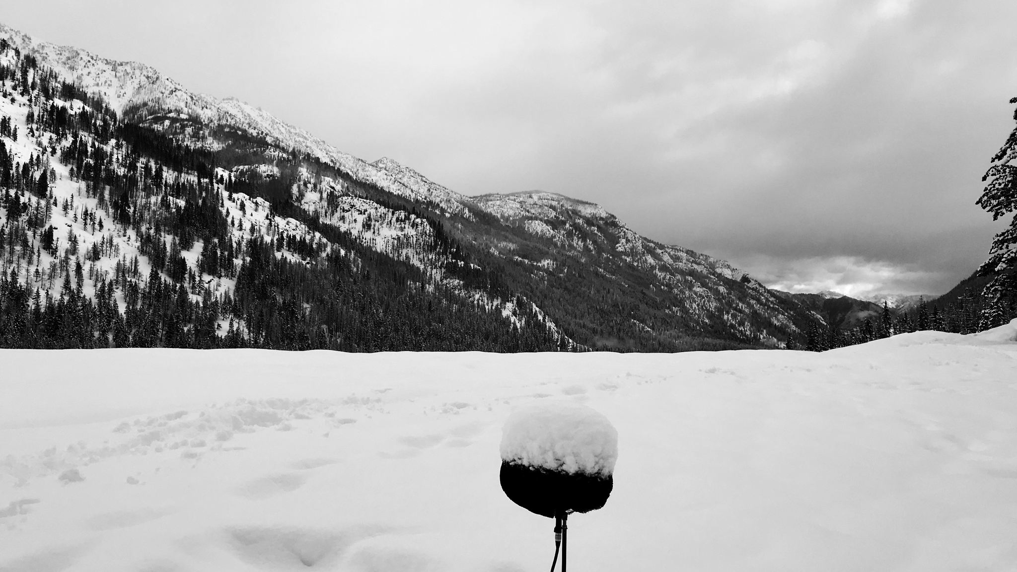 Thomas Rex Beverly used Sennheiser microphones to capture an extensive body of soundscapes during a three-week trip to the Cascade mountain range in Washington state. ​(Photo credit: Thomas Rex Beverly)