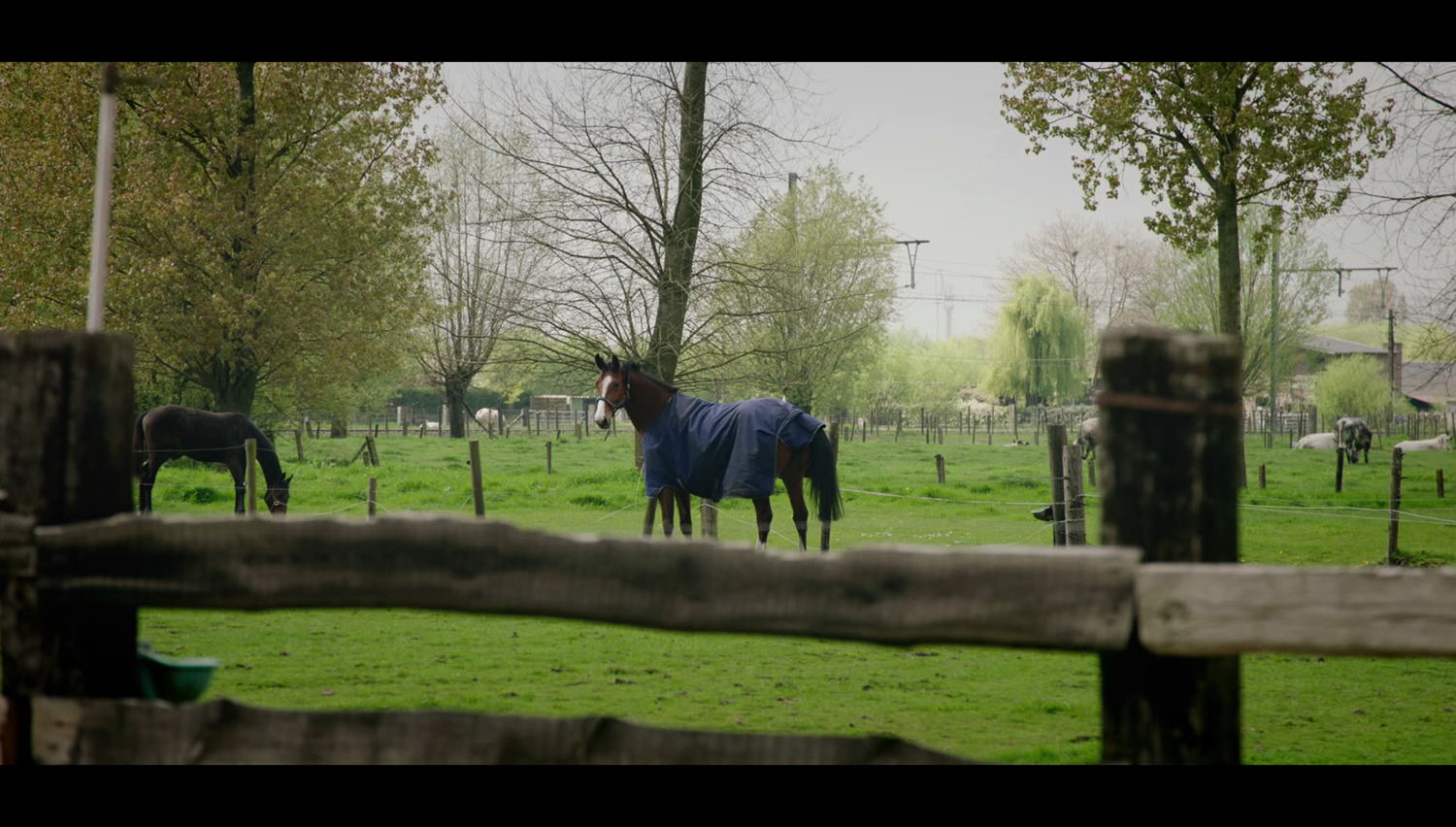 Mij overkomt het niet -
 Aflevering 5 (c) VRT