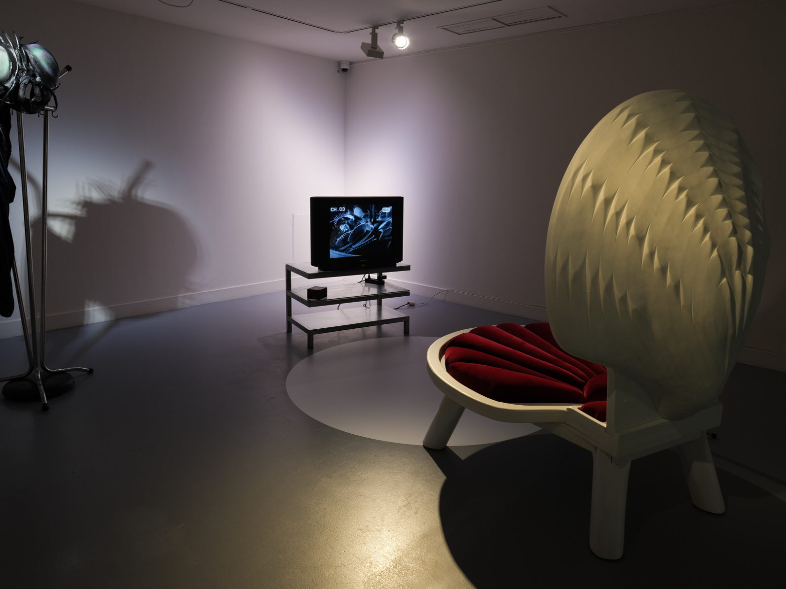 Sean Peleman presenteert ‘Are You Still Watching?’ in M HKA’s INBOX-reeks