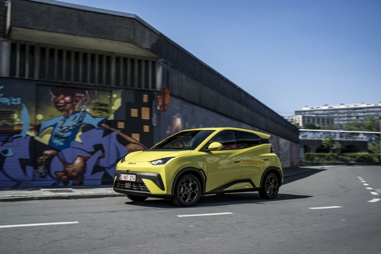 2025 BYD DOLPHIN SURF ACTION 012