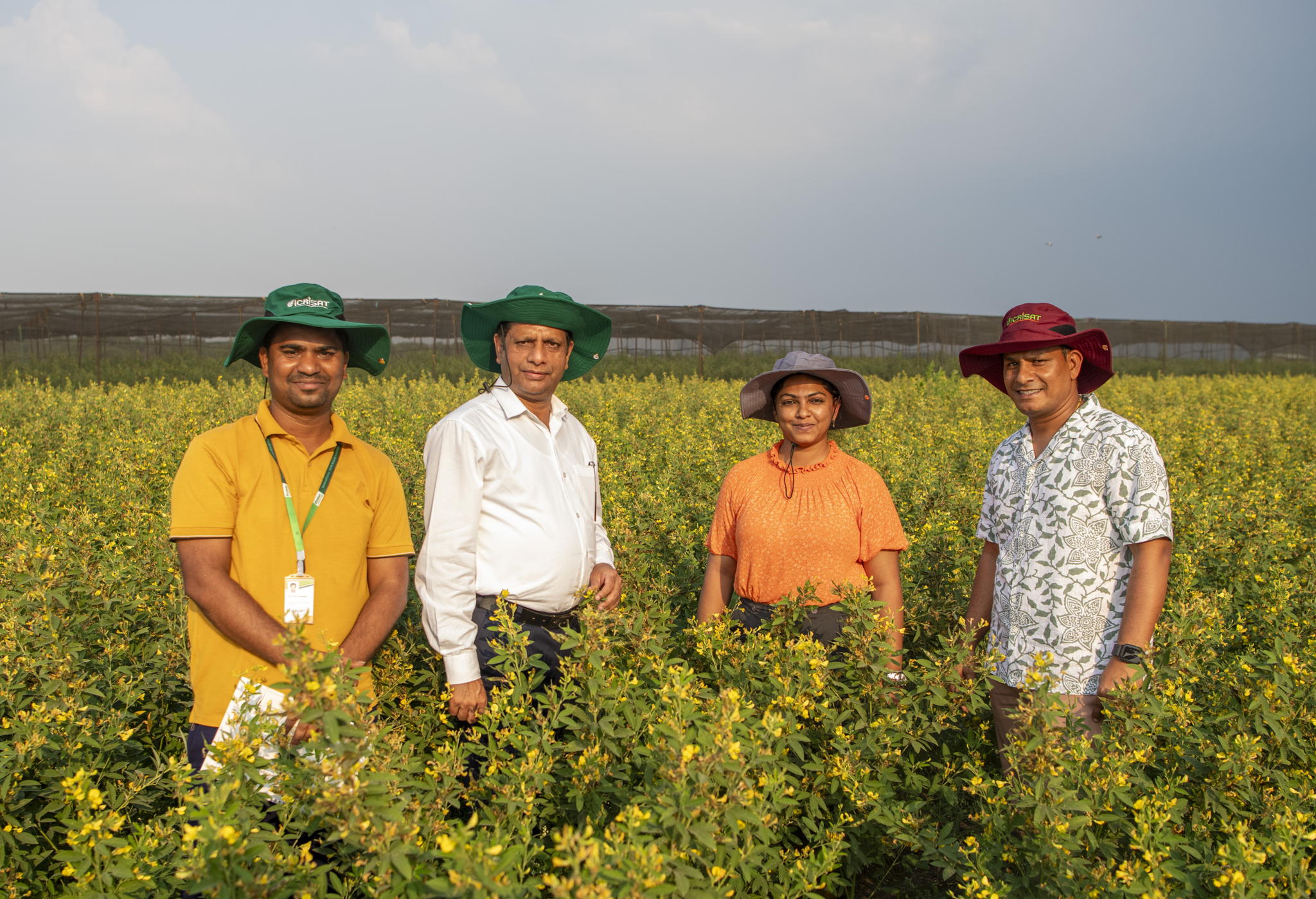 Dr Himanshu Pathak, Director General of ICRISAT (second from left), flanked by Senior Scientist-Pigeonpea Breeding, Dr Prakash Gangashetty (far right), Associate Scientist Dr Shruthi Beliappa (center right), and (far left) Associate Manager Naresh Bomma in the summer-adapted pigeonpea field. Dr Himanshu Pathak, Director General of ICRISAT (second from left), flanked by Senior Scientist-Pigeonpea Breeding, Dr Prakash Gangashetty (far right), Associate Scientist Dr Shruthi Beliappa (center right), and (far left) Associate Manager Naresh Bomma in the summer-adapted pigeonpea field.