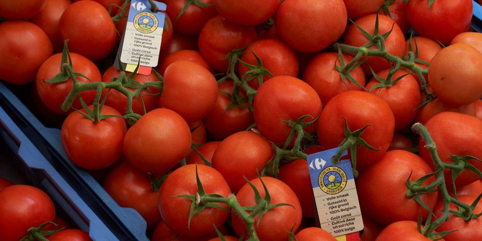 Tomaten van Kwaliteitsketen Carrefour: 100% Belgisch en duurzaam