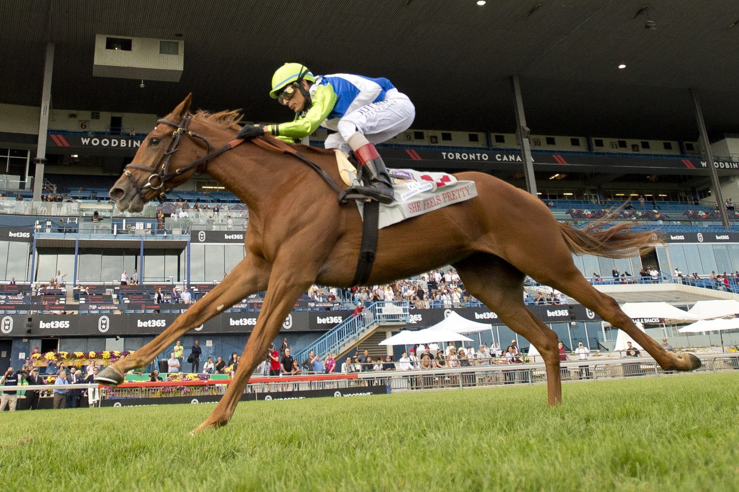 She Feels Pretty and John Velazquez winning the Grade 1 Natalma on Saturday at Woodbine Racetrack. (Michael Burns Photo)