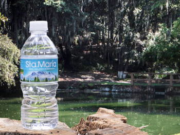 ¿Sabías que beber agua alcalina te ayuda a desintoxicar tu cuerpo?