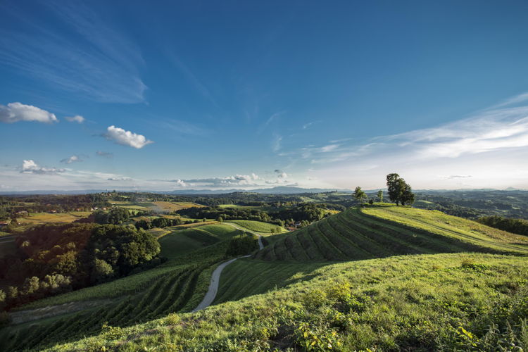 Štrigova © Bojan Haron Markičević