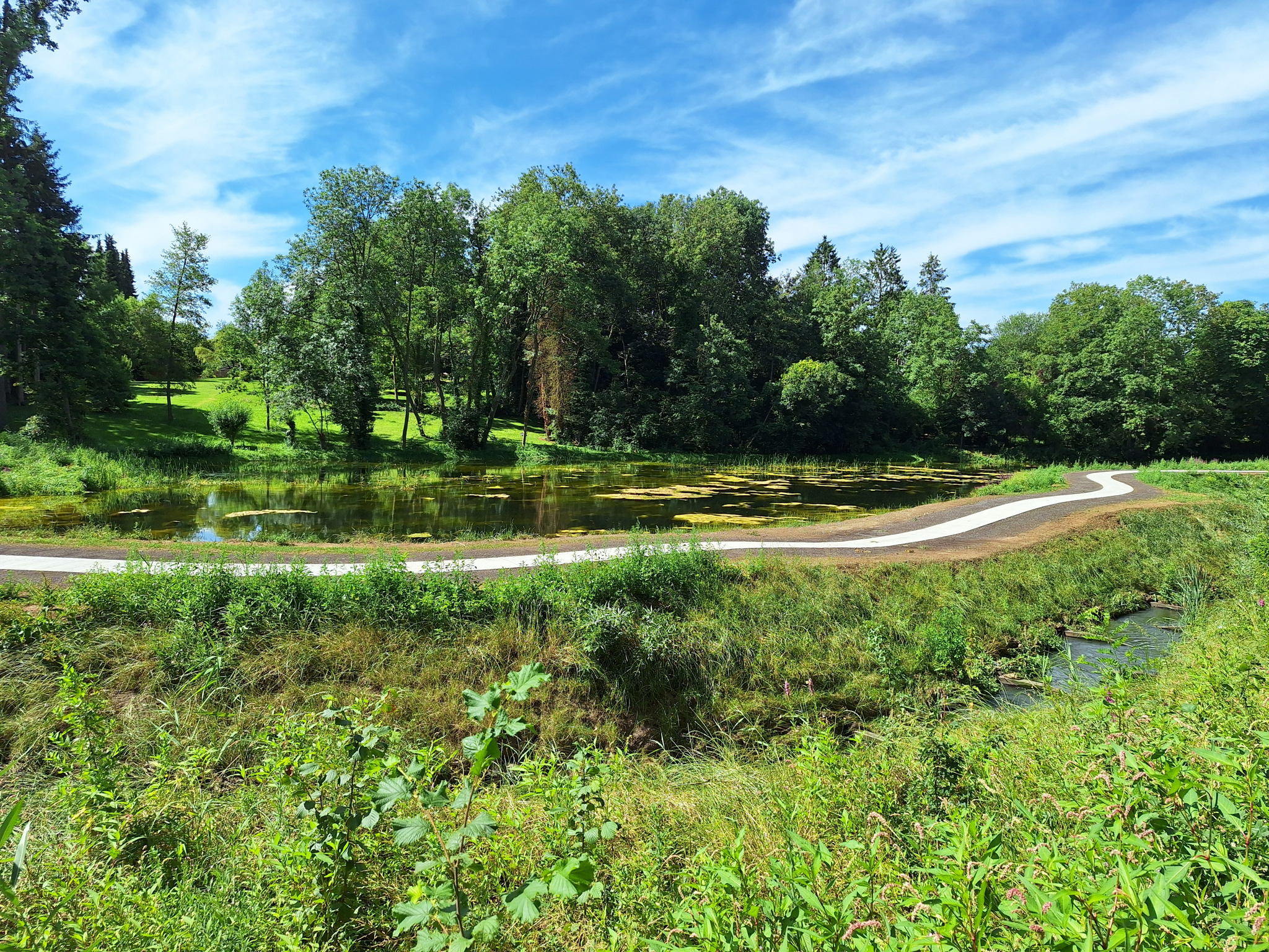 Groene oevers aan de Geevaertvijver ©Vlaamse Landmaatschappij Groene oevers aan de Geevaertvijver ©Vlaamse Landmaatschappij