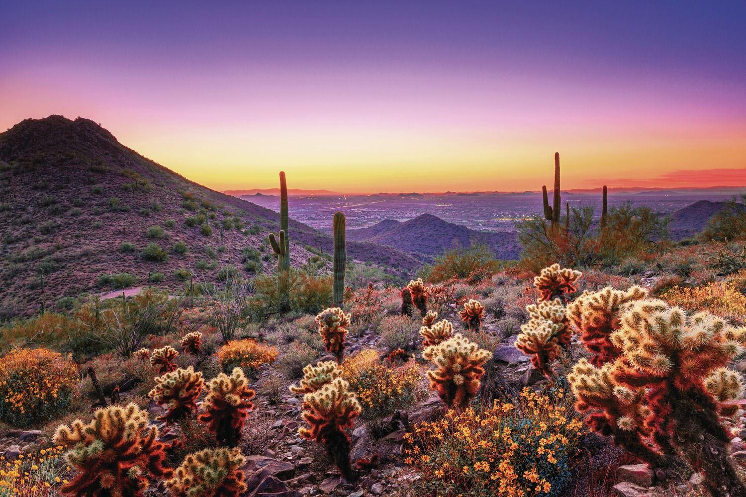 Scottsdale, AZ