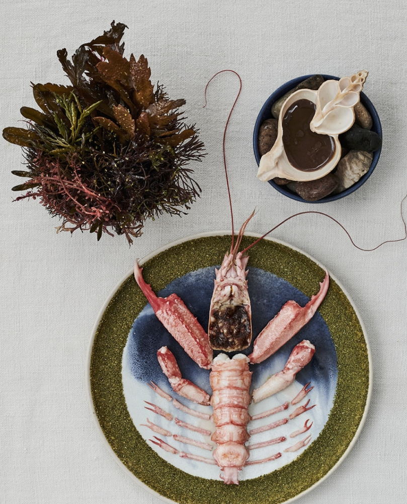 Noma, Copen
