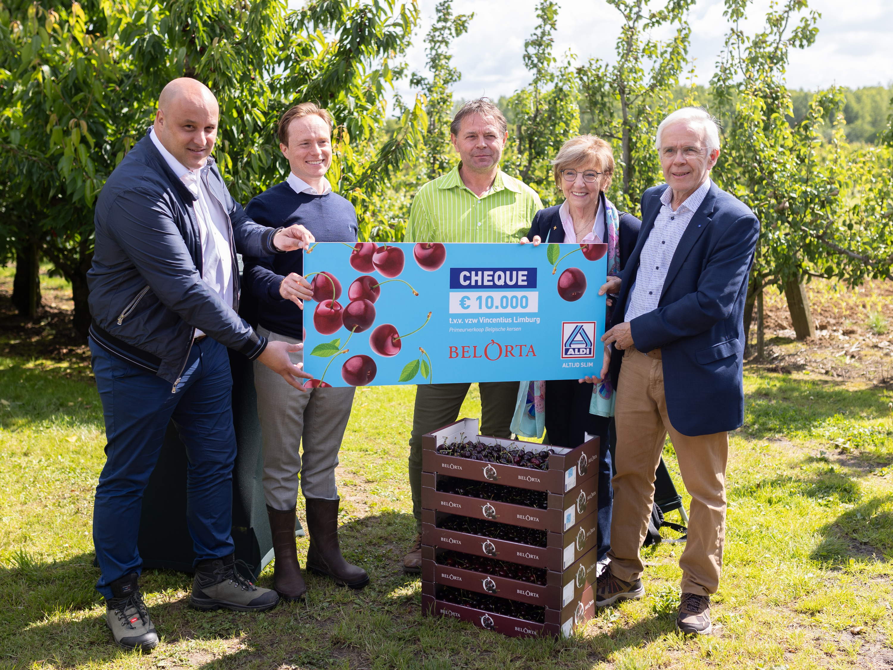 ALDI koopt eerste Belgische kersen van het seizoen 