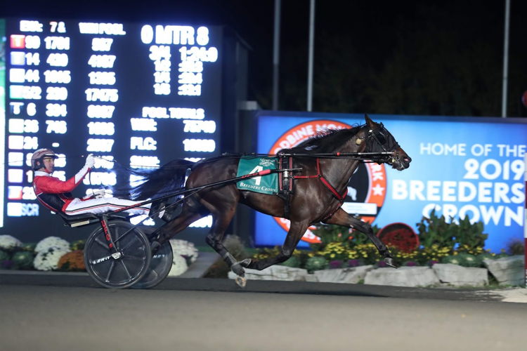 Amigo Volo winning the Breeders Crown in 2019 at Woodbine Mohawk Park. (New Image Media)