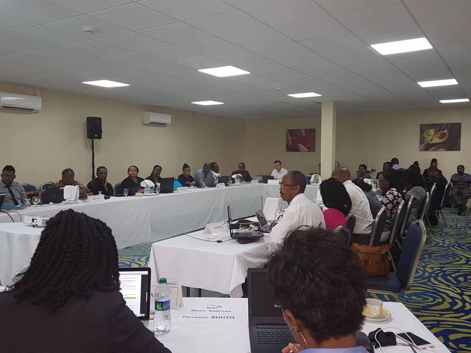 Participants of the Eleventh Living Standards Measurement Committee 