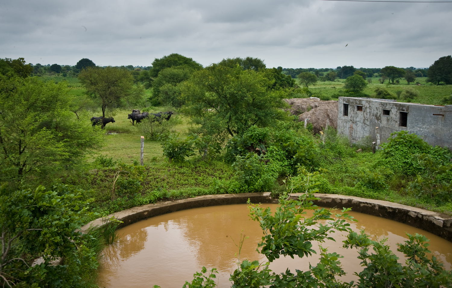 Watershed management