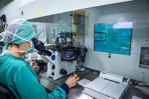 Bevruchting (ICSI) Labo Brussels IVF – UZ Brussel
