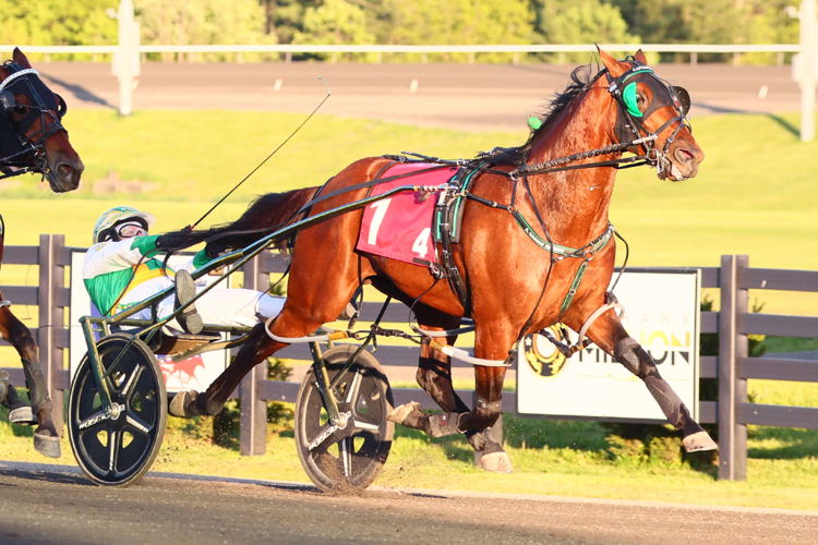 Captain Luke and driver Jody Jamieson winning the first division of the first leg of the Graduate Series for four-year-old pacers on May 31, 2025 at Woodbine Mohawk Park (New Image Media) Captain Luke and driver Jody Jamieson winning the first division of the first leg of the Graduate Series for four-year-old pacers on May 31, 2025 at Woodbine Mohawk Park (New Image Media)