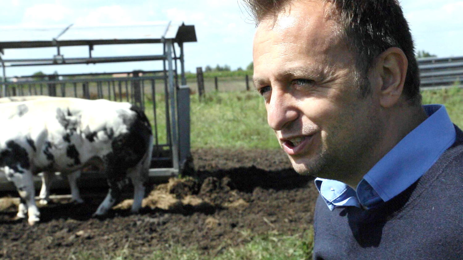 David De Keyser van Deel een Koe - (c) Borgerhoff & Lamberigts