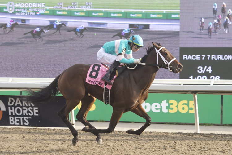 Tripolina and jockey Kazushi Kimura winning the Display Stakes on October 15, 2023 at Woodbine (Michael Burns Photo)
