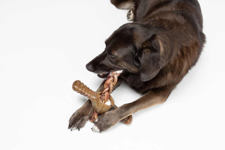Benebone Pawplexer