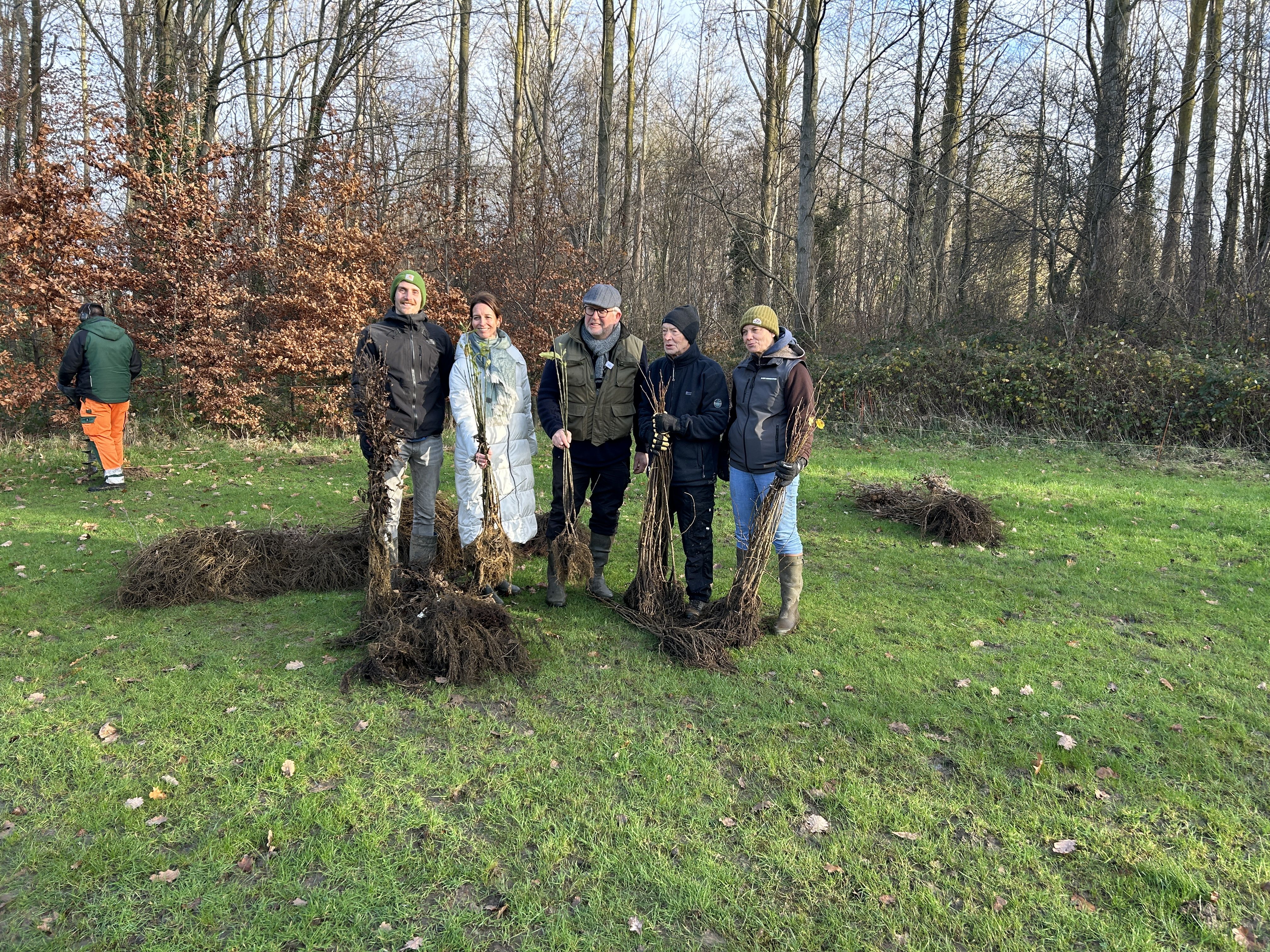 Op 6 december werden de eerste bomen aangeplant op een stuk grond aan de Plantsoenbosstraat in Haacht.