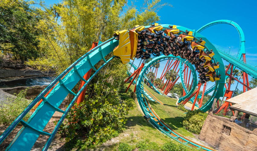 Busch Gardens, Tampa Bay