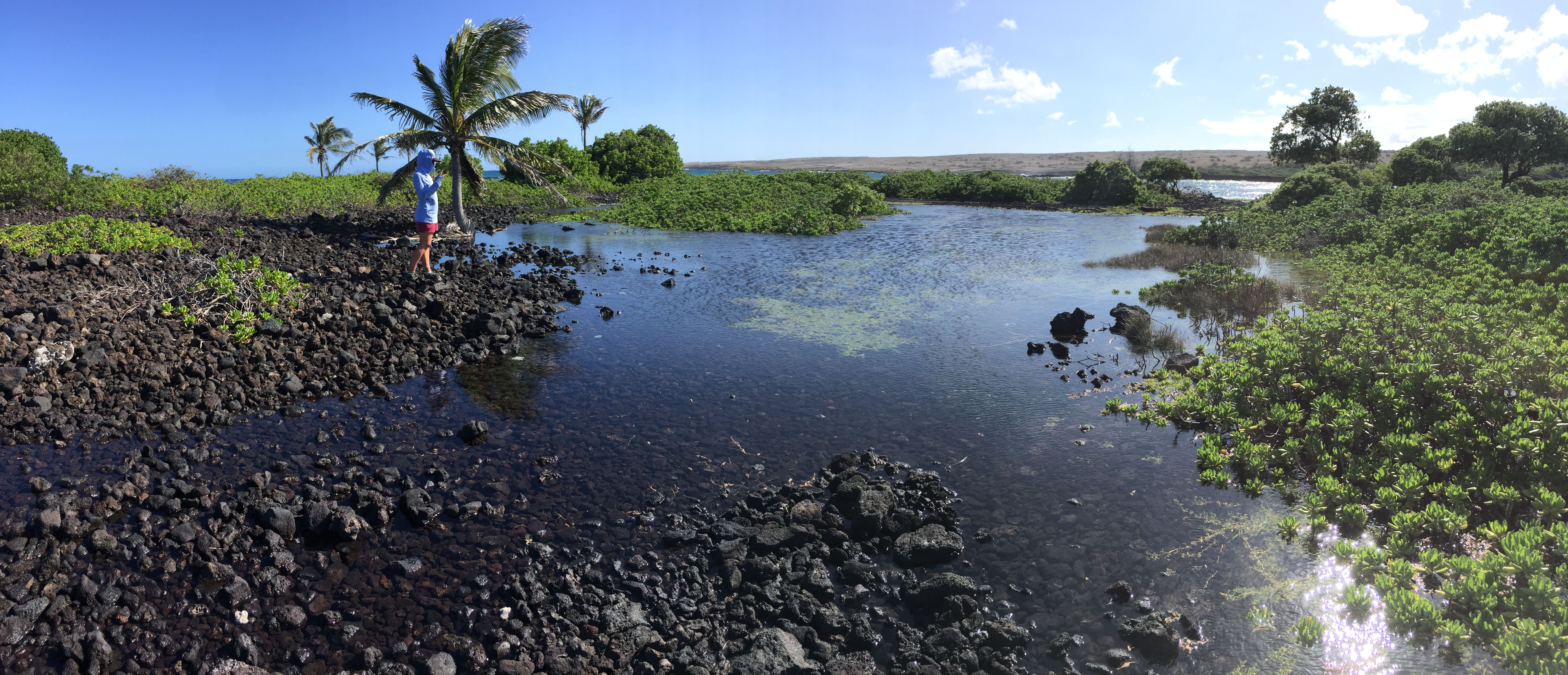 Preservation of Kiolakaʻa protects critical natural resources and cultural sites
(Photo Credit: Ala Kahakai Trail Association)