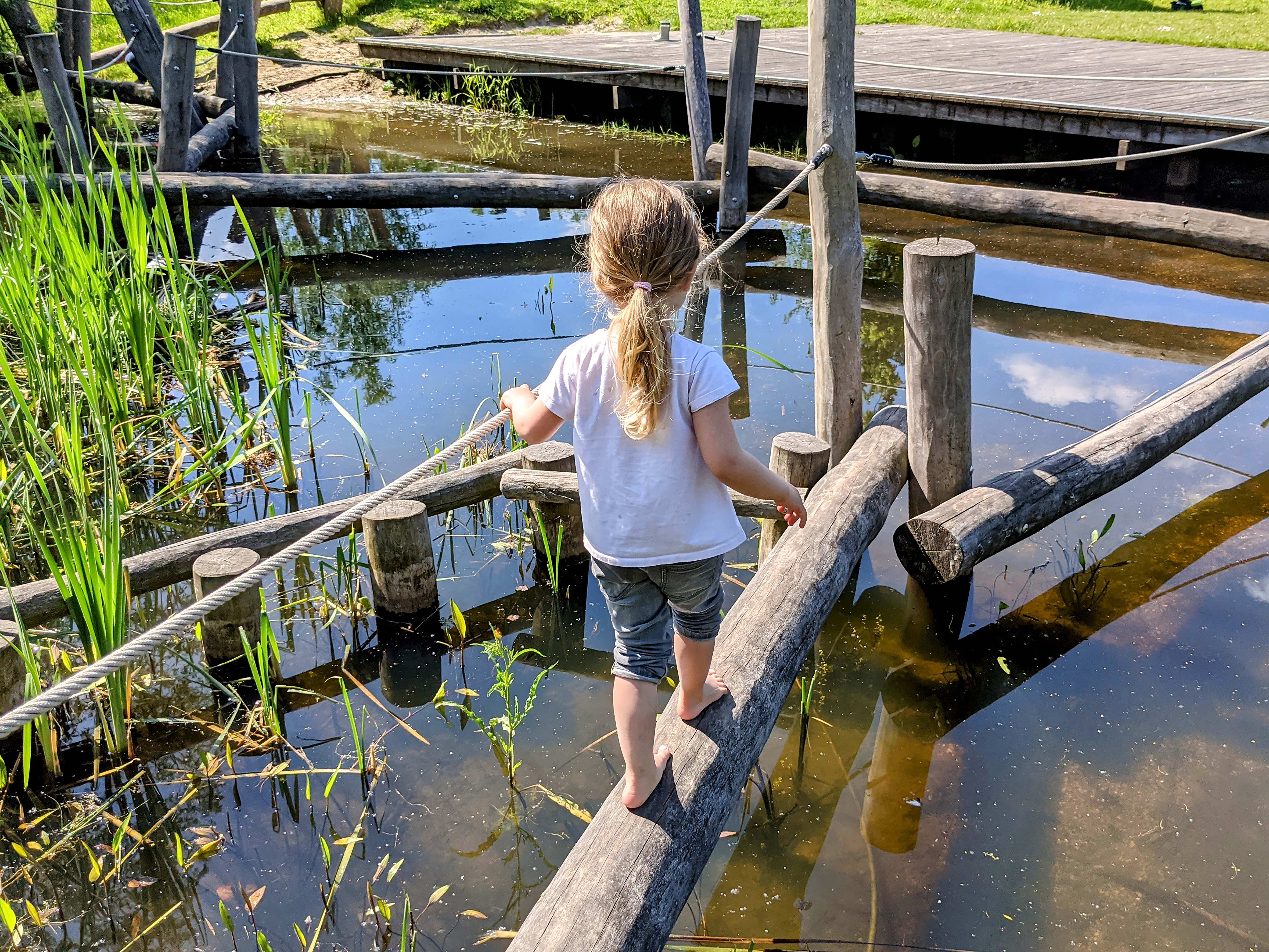 Ravotten in de Clementwijk