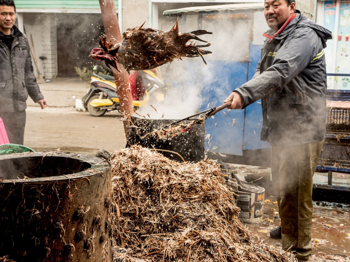 Un "wet market" dans la province d'Anhui, en Chine © Jo-Anne McArthur, We animals Media