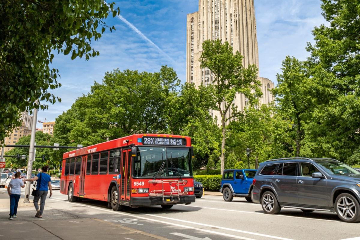 Bus on Fifth Avenue next to former counterflow lane Bus on Fifth Avenue next to former counterflow lane