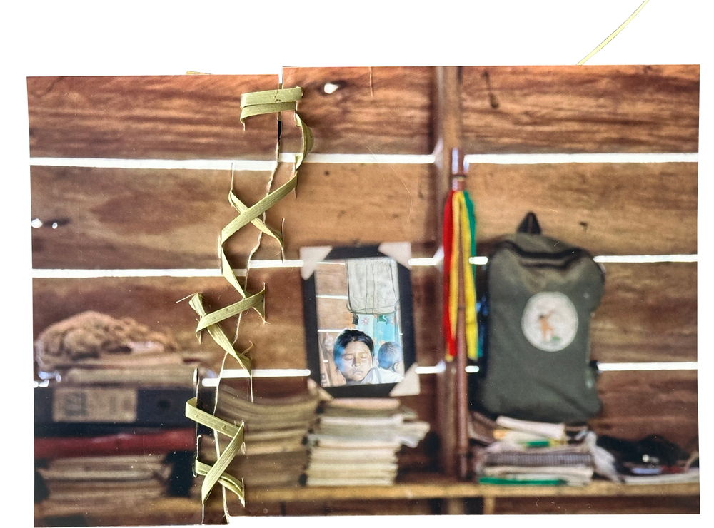 The jaibaná Dilia (healer of the spirit), in Puesto Indio, sutured with palm leaves the photograph of the empty room of a member of the Indigenous guard who was killed. Palm fiber is often used for weaving baskets, an activity that has a strong relationship with the health of the mind and spirit.