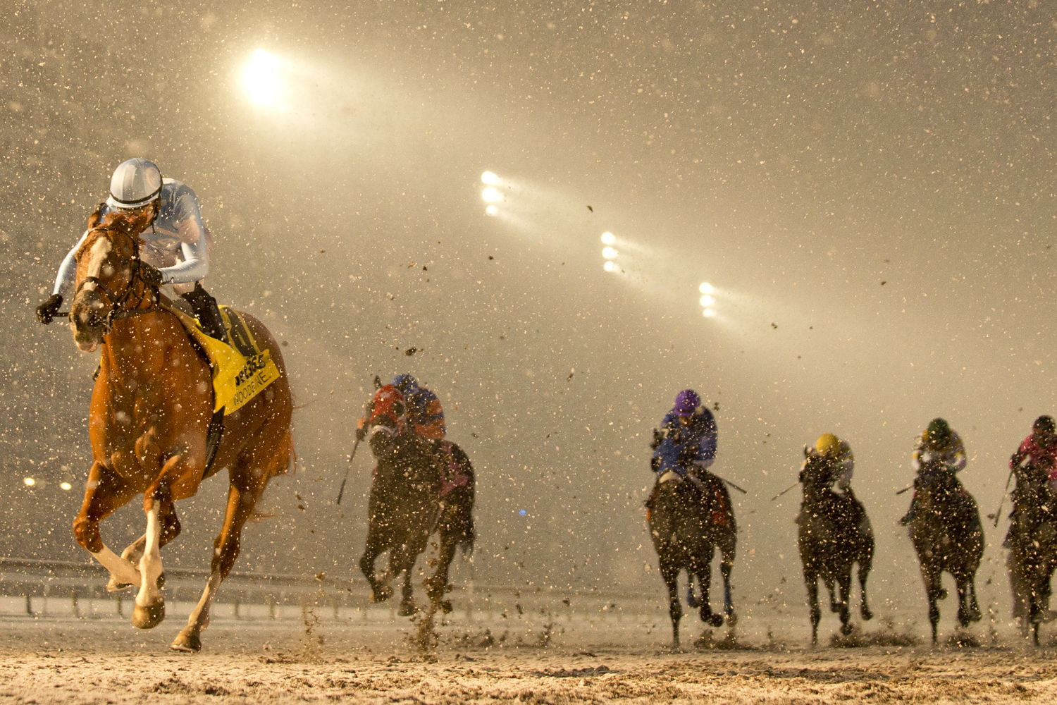 Get Smokin and jockey Sahin Civaci winning the Valedictory Stakes (G3) on December 7, 2024 at Woodbine (Michael Burns Photo)